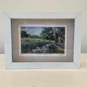 Summer Afternoon Light, River Road, Topsfield, 7 x 5 x 1 inch, shadow box frame.